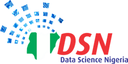 DSN Logo